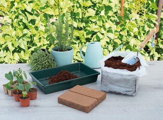 Set voor tuinieren: jonge plantjes, gieter, groene bak, kokostablet, zak potgrond en tuiniergereedschap.