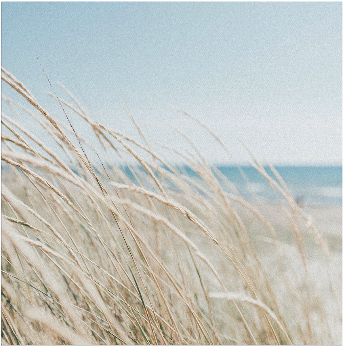 Art for the Home Buitencanvas Strand
