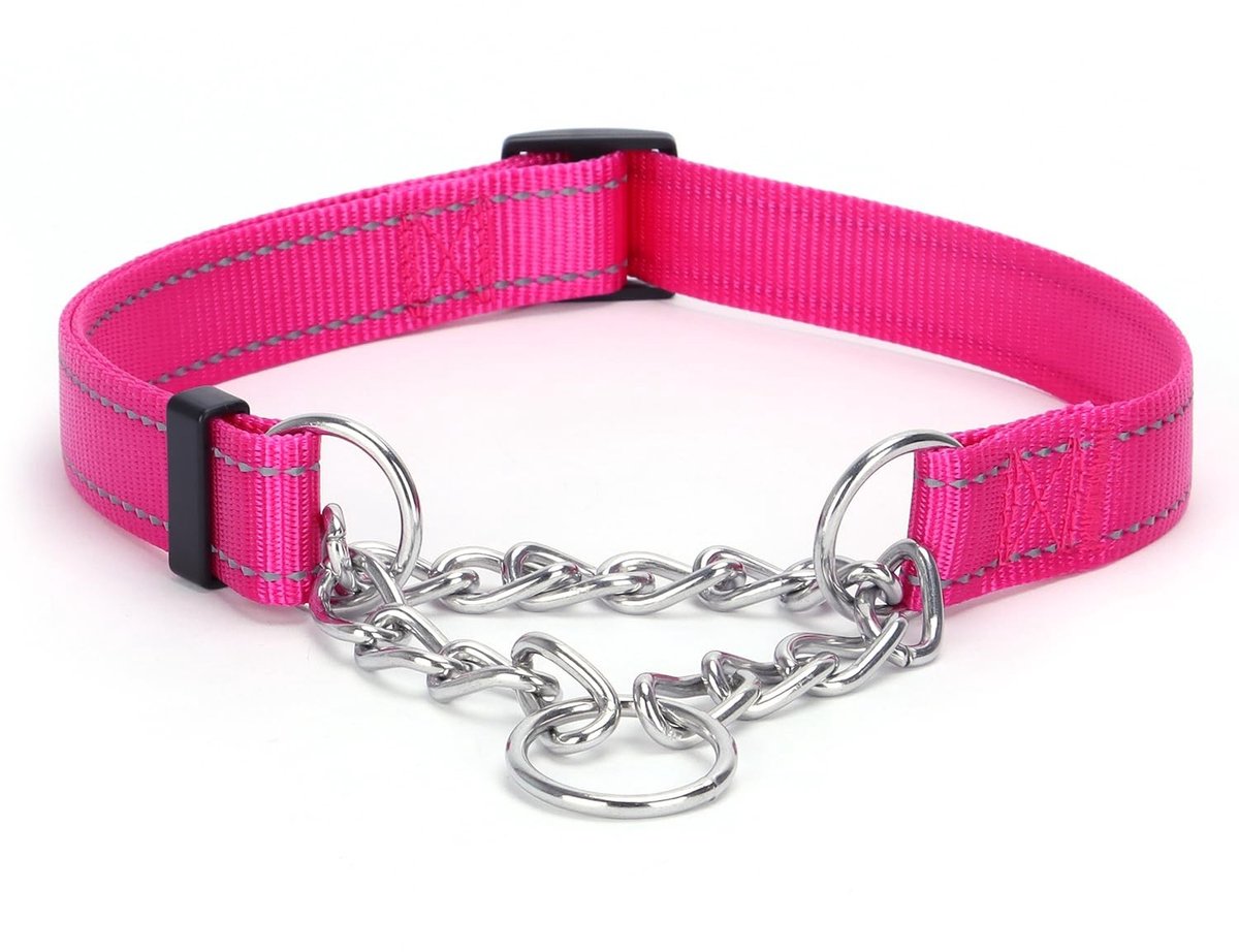Zeynomax - Martingale Halsband - Hondenhalsband - Reflecterend - Felroze - Verstelbaar - Voor middelgrote en grote honden