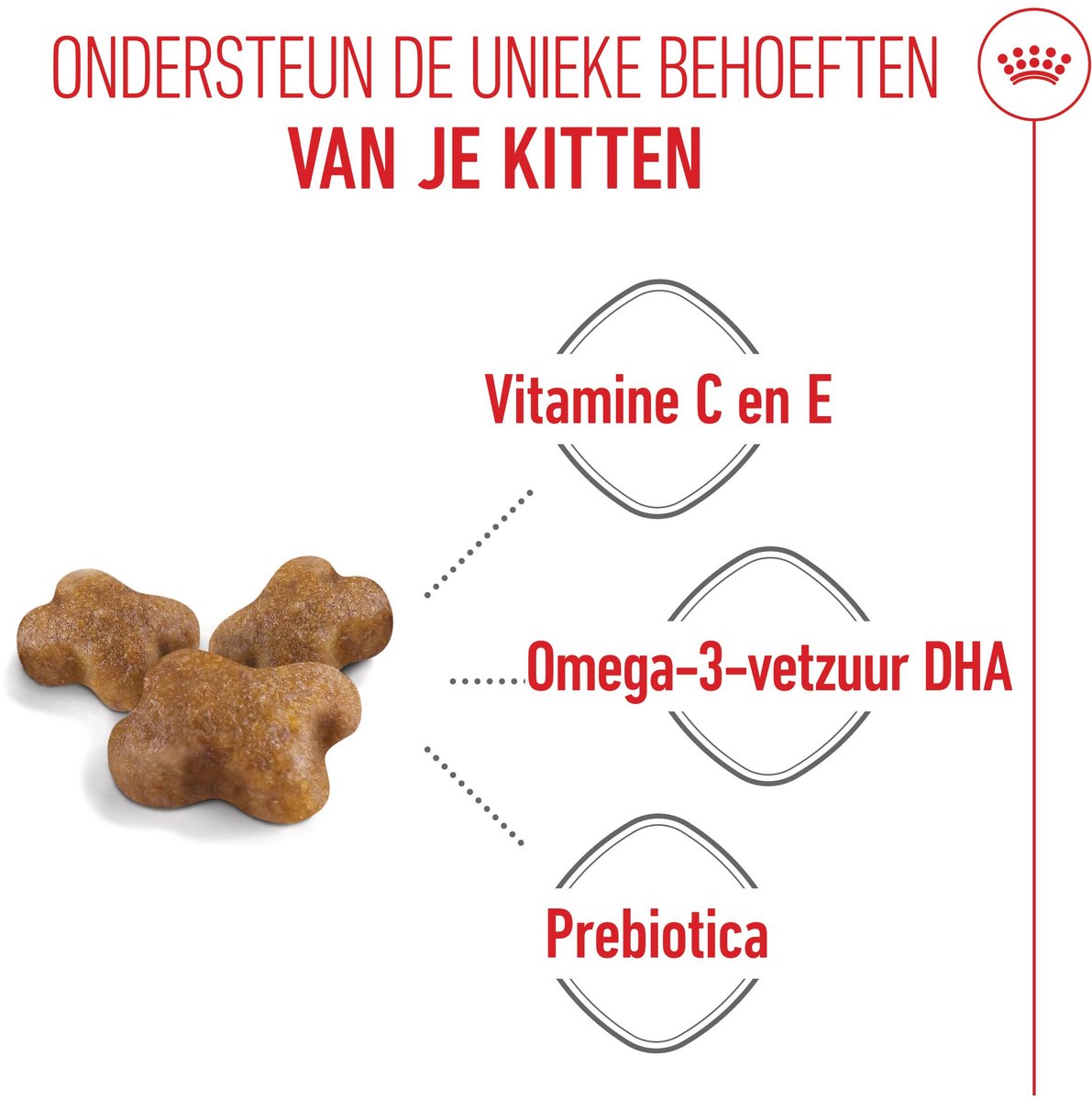 Royal Canin Kitten kittenvoer 2 x 10 kg thumbnail 4