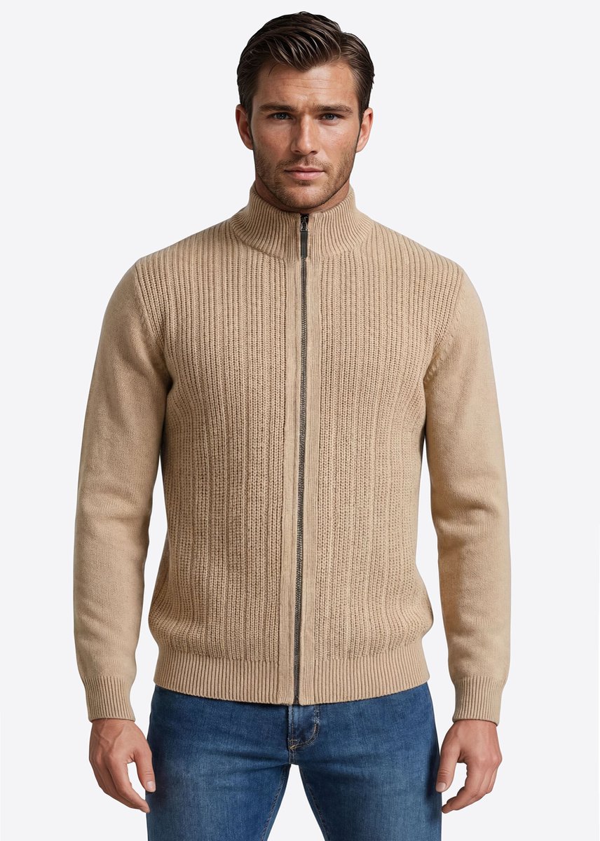 pierre cardin vest