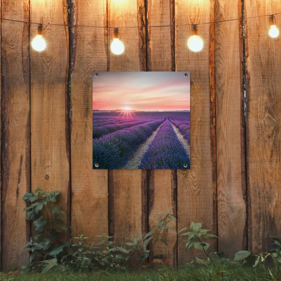 Tuinposter - Lavendel - Bloemen - Paars - Tuin - 50x50 cm - Tuinschilderij - Schuttingdoek - Tuindecoratie