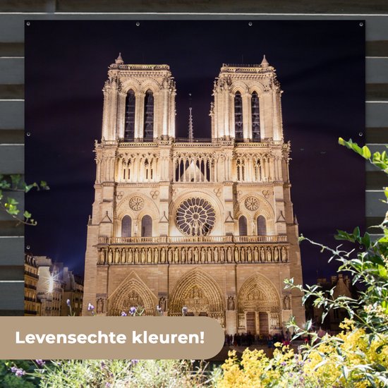 Poster de Jardin Notre Dame le soir - 200x200 cm