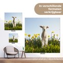 PDP.ProductImage.Thumb.Image.srtText 11