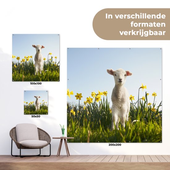 Posters de Posters de jardin Agneau parmi les fleurs jaunes - 50x50 cm