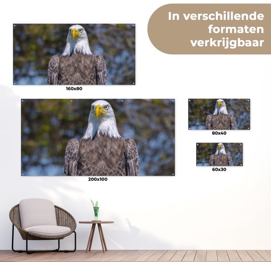 Affiche de clôture Un pygargue à tête blanche américain est assis sur un poteau en bois - 200x100 cm - Toile jardin