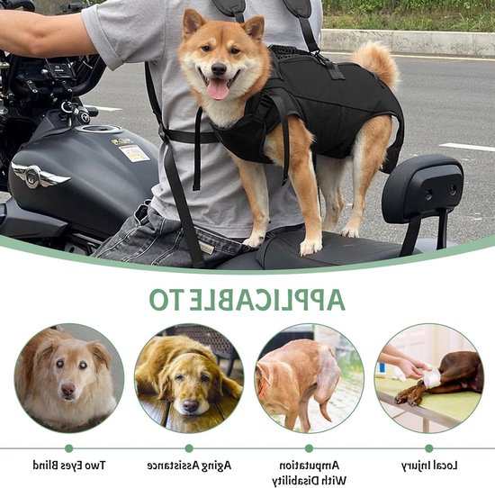 Hondenrugzak met Handgreep, Draagharnas voor Honden, Transportbox voor Honden, Herstelharnas voor Gewonde en Oudere Honden (M) — afbeelding 2