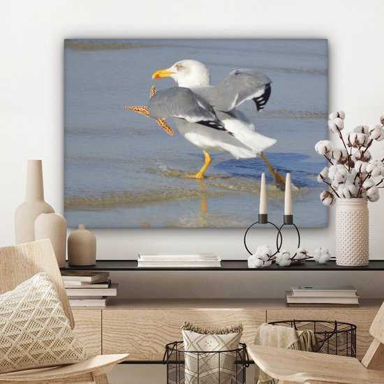 Une image d'un goéland argenté attrapant une étoile de mer Toile 80x60 cm - Tirage photo sur toile (Décoration murale salon / chambre)