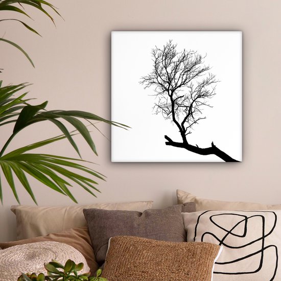 Silhouette d'une branche d'arbre 50x50 cm - Tirage photo sur toile (Décoration murale salon / chambre)