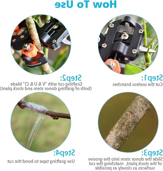 2-in-1 Tuin Fruitboom Enten Schaar, Enten Schaar, Ratel Schaar Set, Professioneel Met één Hand Ent Snijgereedschap Voor Tuin, Bloemen, Boom, Plantentakken, Tuin Enten van Shengda. — afbeelding 2