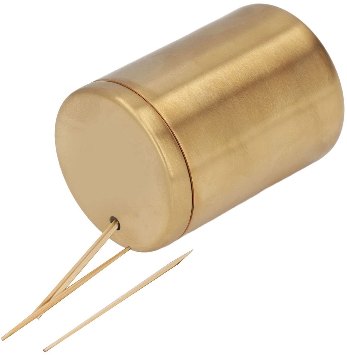 Dailygoody - Tandenstokerhouder - Roestvrijstalen Dispenser - Valbestendig en Duurzaam - 5 x 8 cm - Handig voor Thuisgebruik - Geschikt voor Keuken - ...