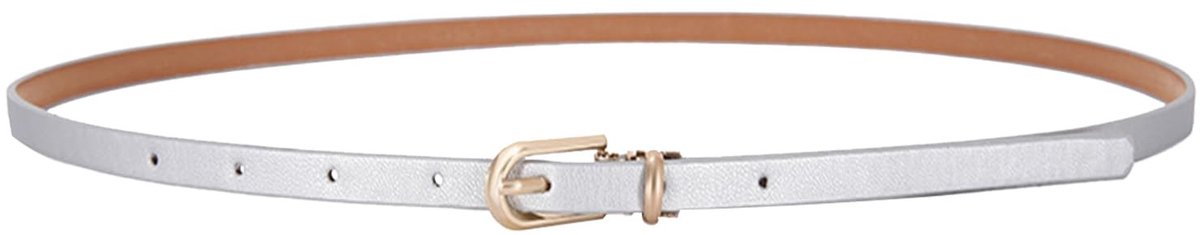 Dailygoods - Dailygoody - Vrouwen Skinny Lederen Tailleriem - Modieuze Riem - Zilver - Verstelbare Maat - Perfect voor Jeans en Jurken - Geschikt voor Vrouwen