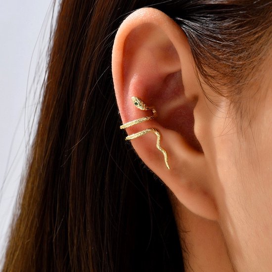 Helix piercing oorbel ringetje kettinkje en barbell Een oorpiercing