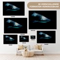 Product afbeelding  8