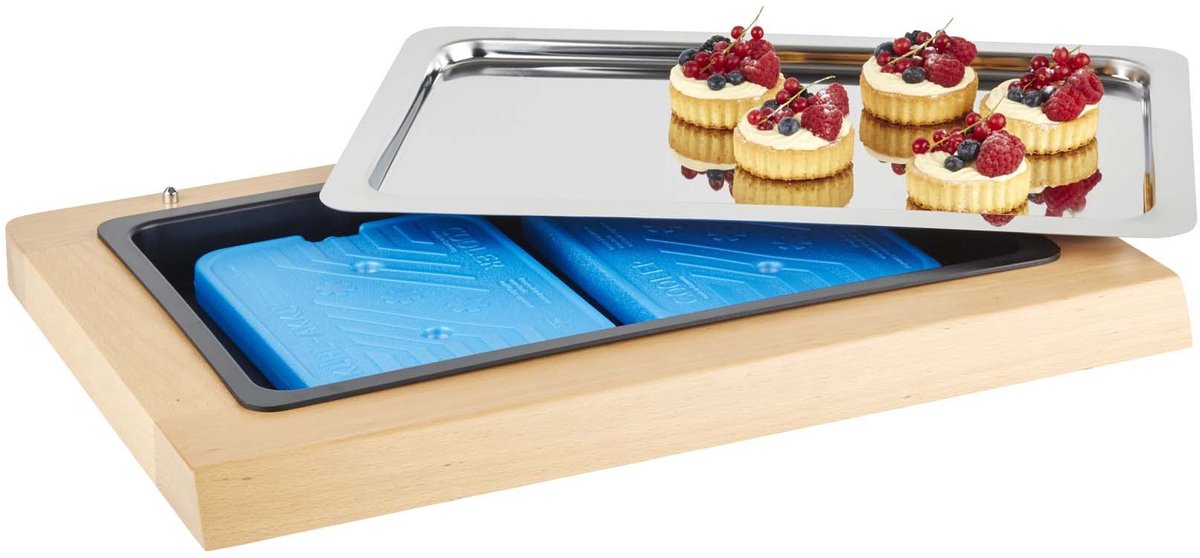 APS Top Fresh Buffetset - koelbuffet uitgave met inzet en koelelementen - 60 x 41 x 5 cm
