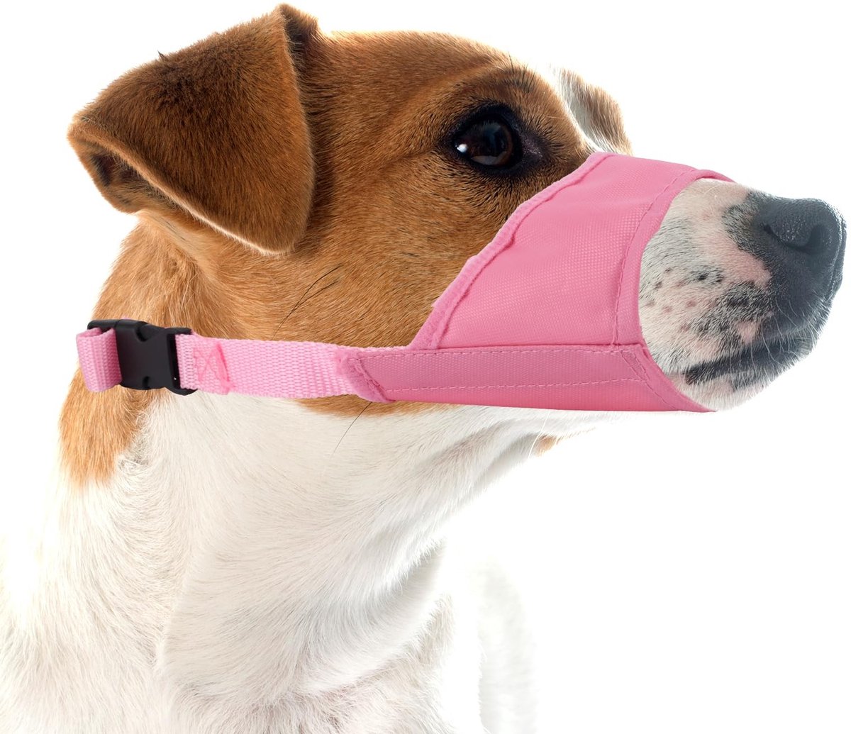 Dailygoods- Muilkorf Kleine Hond - Verstelbare Antibijtmuilkorf - Comfortabel Hondensnuitje - Lichtgewicht PVC/Polyester - Duurzaam en Ademend - Inclusief 1 Snuit - Hondensnuit