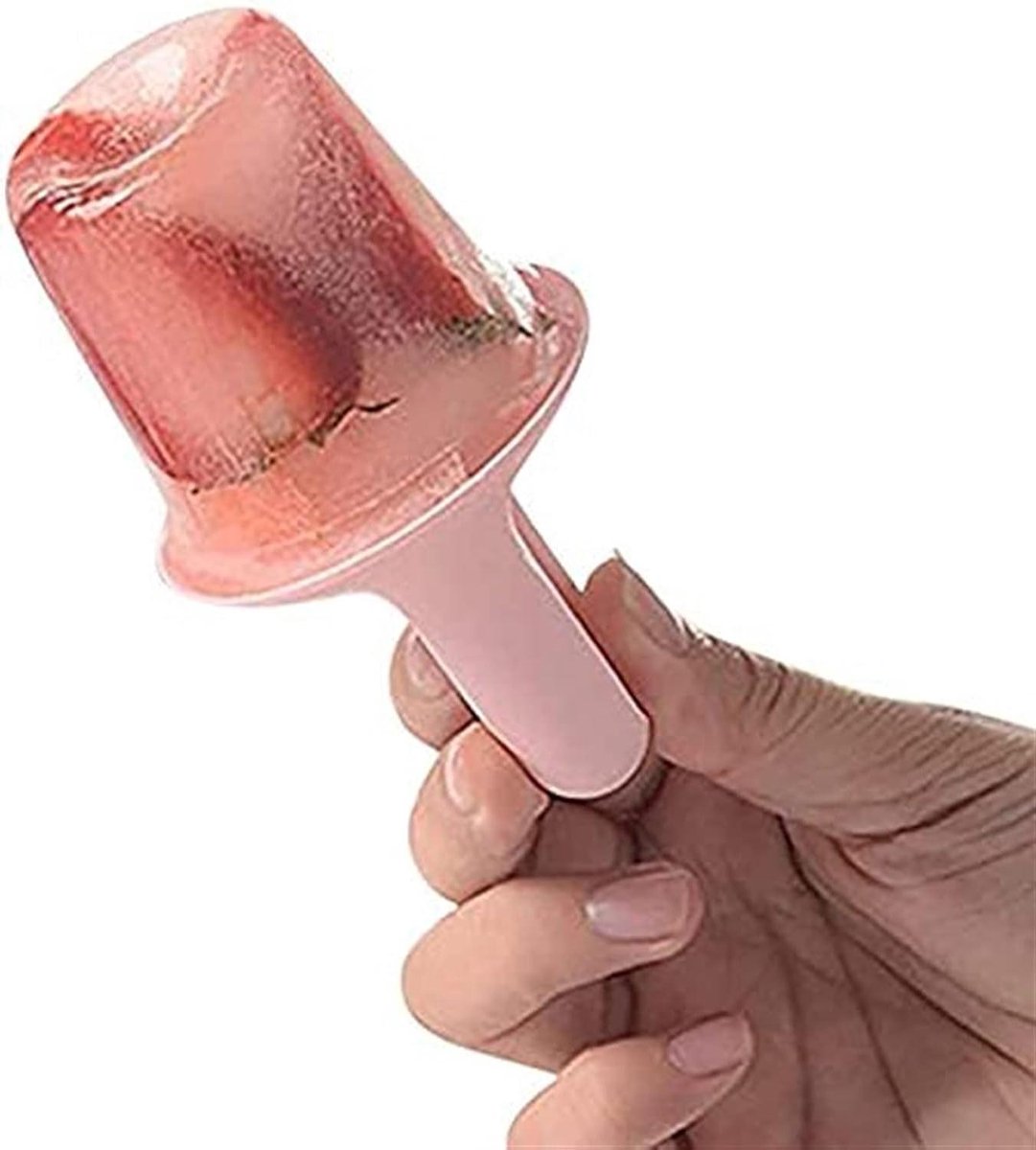 IJslolly Vormen - IJsjes Mal - Zelf IJsjes Maken - Stapelbaar met Deksel - 5 stuks - Multicolor