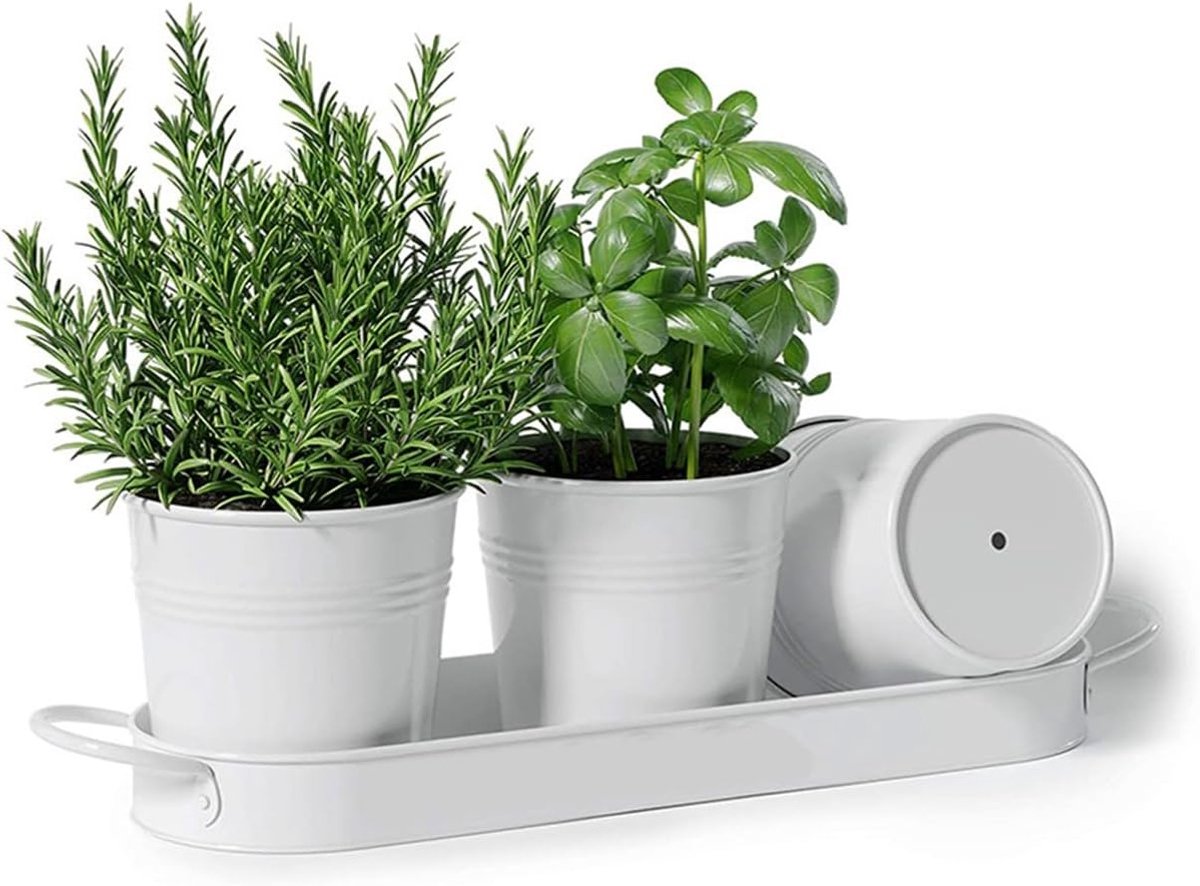 Decoratieve Potten Set voor Binnen en Buiten met Lade - Witte Metalen Plantenpotten voor Keuken en Vensterbank, Ideaal voor Groenten en Kruiden