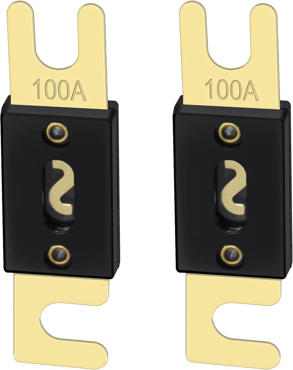 Dailygoody Fuse - 100A Fuse - 2-Pack - Gold & Black - Voor Car Audio - 100 Amp - Geschikt voor Auto's
