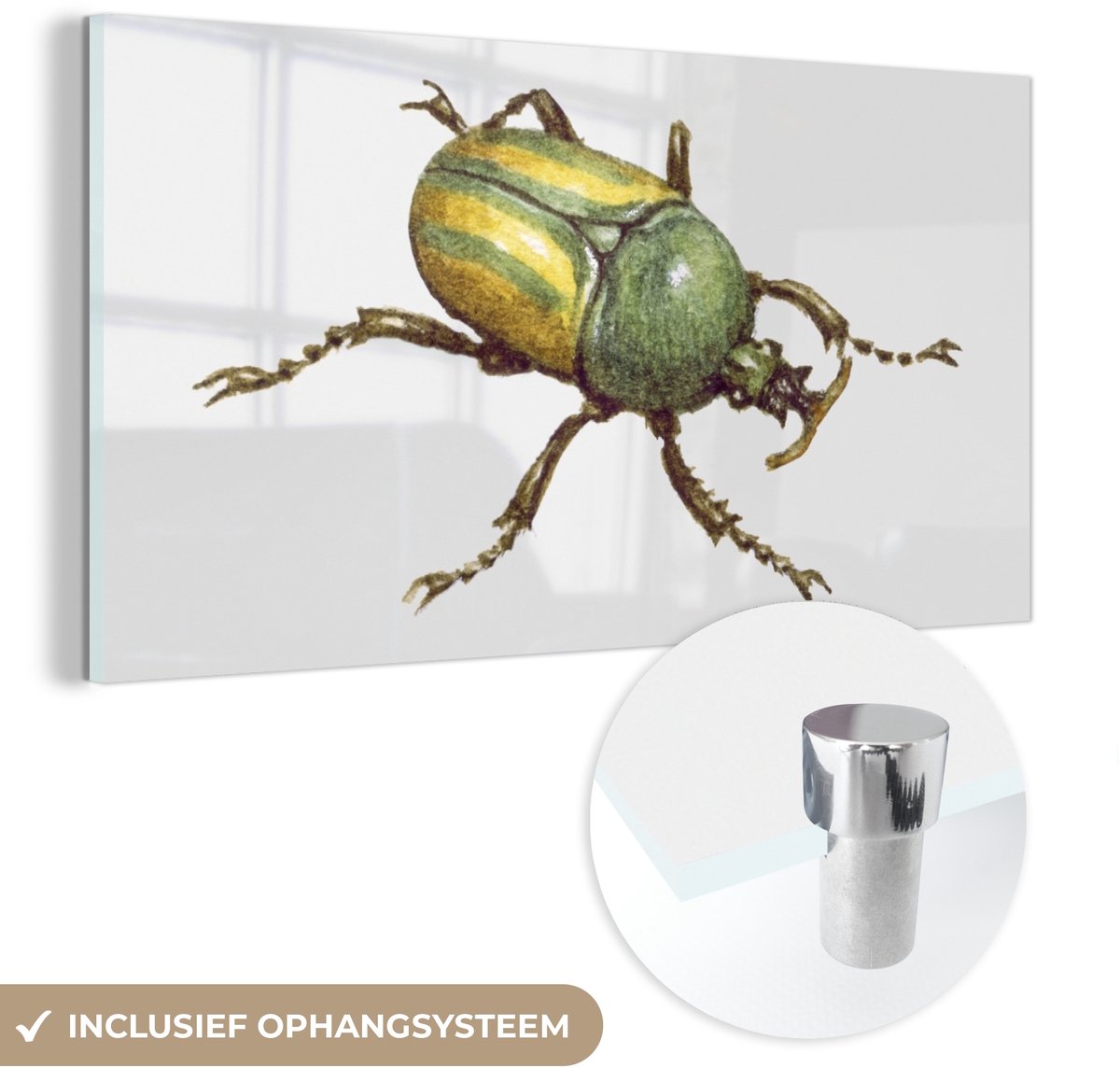 ® Glasschilderij 40x20 cm - Schilderij acrylglas - Kever - Insecten - Waterverf - Foto op glas - Muurdecoratie woonkamer - Wanddecoratie slaapkamer - Schilderijen