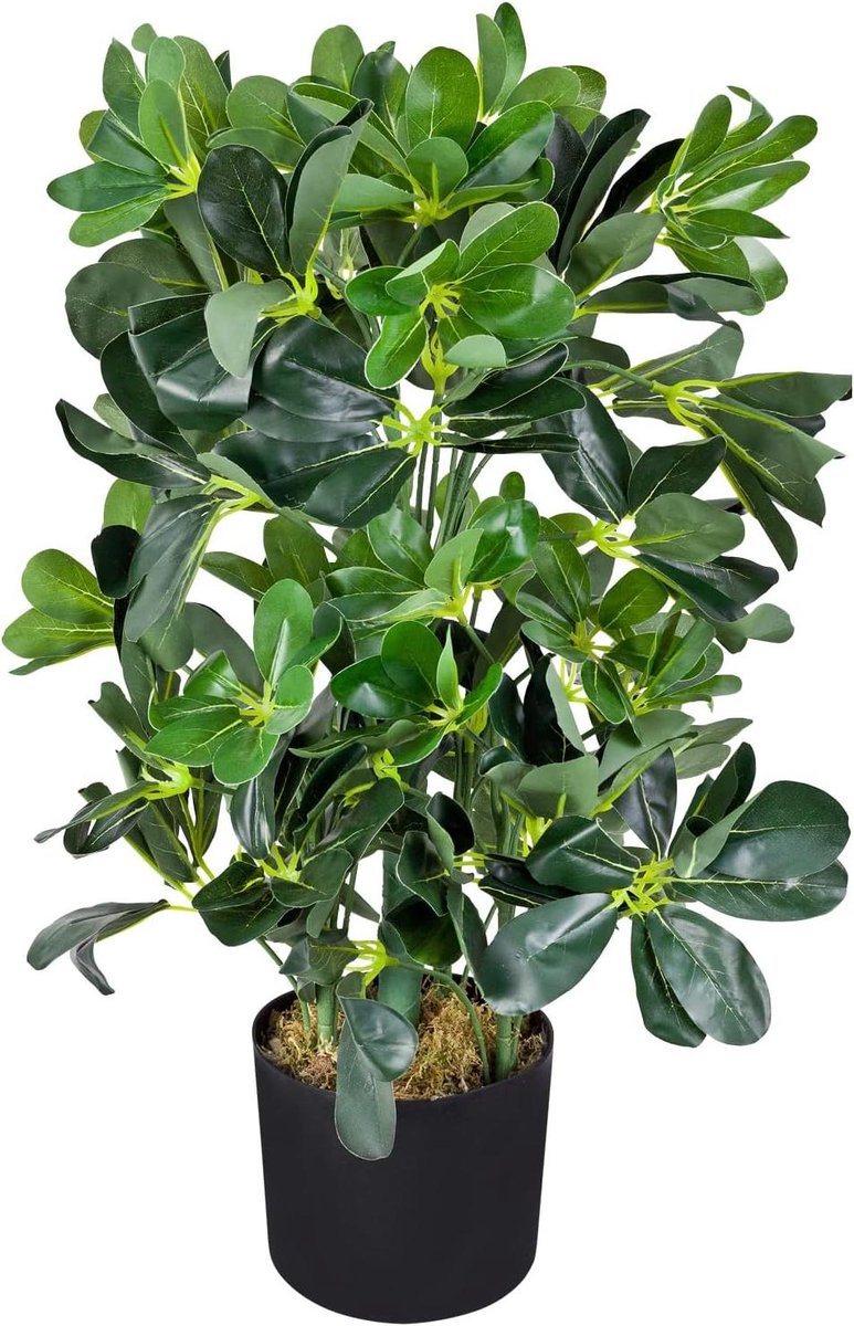 Kunstplant Schefflera - Nep Boom - Terrarium Decoratie - Natuurlijke Uitstraling - 60 cm - Groen