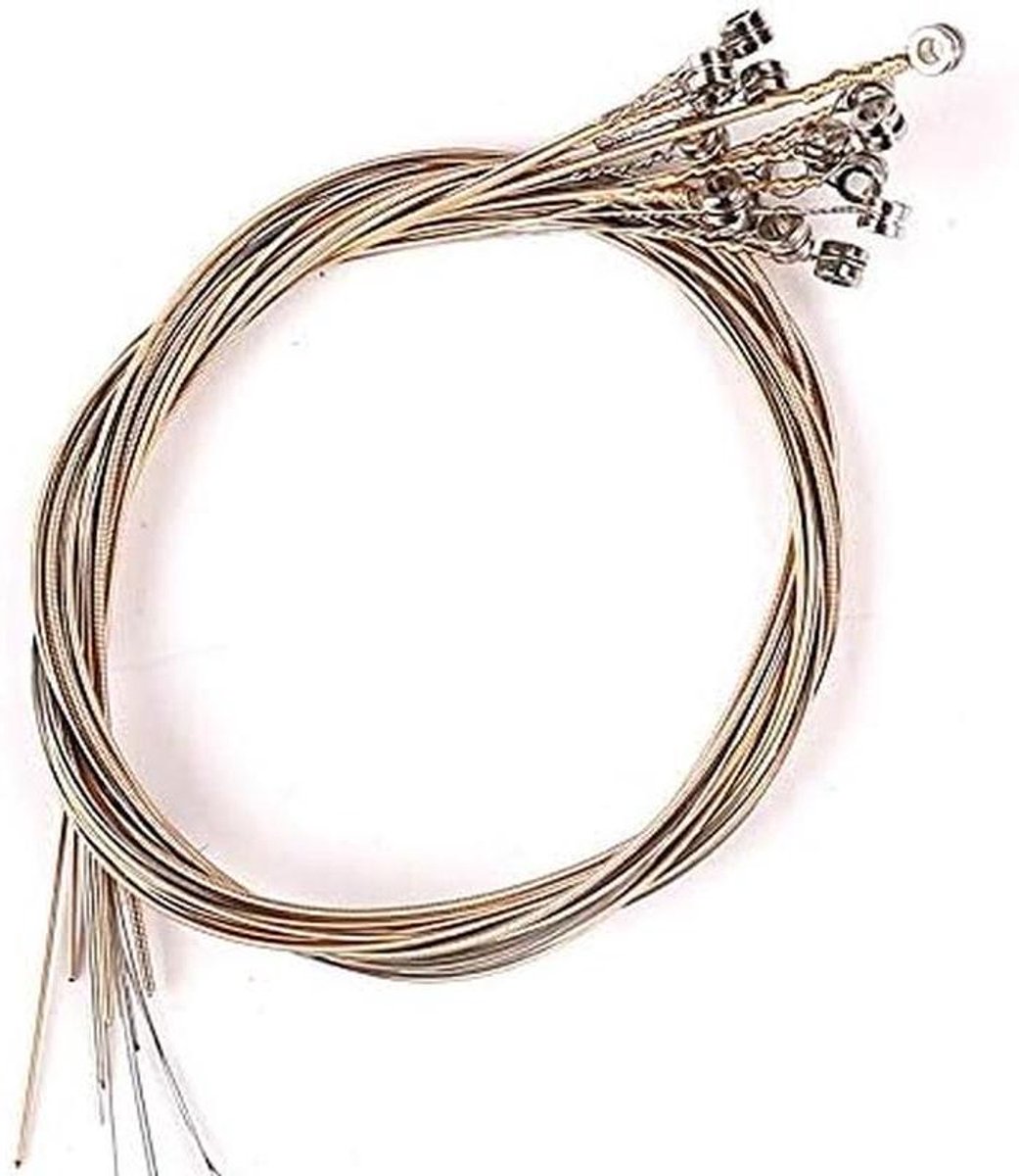 Harp Snaren Set - Lier Benodigdheden - Muziek Maken - Klassiek Geluid - 16 Stuks - Zilver Goud