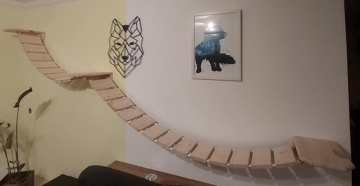 Katten Wandpark - Klimmuur Kattenmeubel - Katten Actief Houden - Natuurlijk Sparrenhout - 40 cm Breedte - Natuurlijk