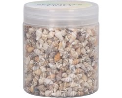 Kleine Niet-Poreuze Natuurlijke Spiralschelpen voor DIY Aquariums, Landschapsdecoratie en Driftflessen