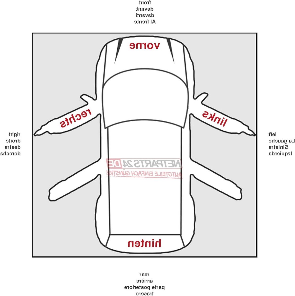Koplamp Halogeen - Schijnwerper Links - Auto Reparatie - Met Lampje - 4969 x 6702 x 25 cm - Transparant
