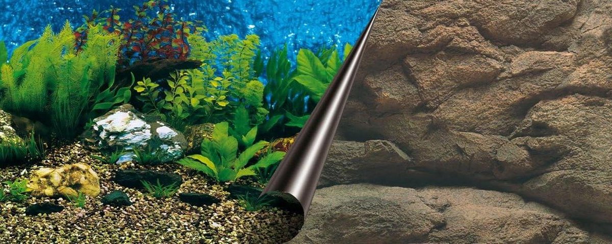 Aquarium Achterwand - Decoratie Film - Aquarium Aankleden - Dubbelzijdig Bedrukt - 120x50 cm - Zee en Rots