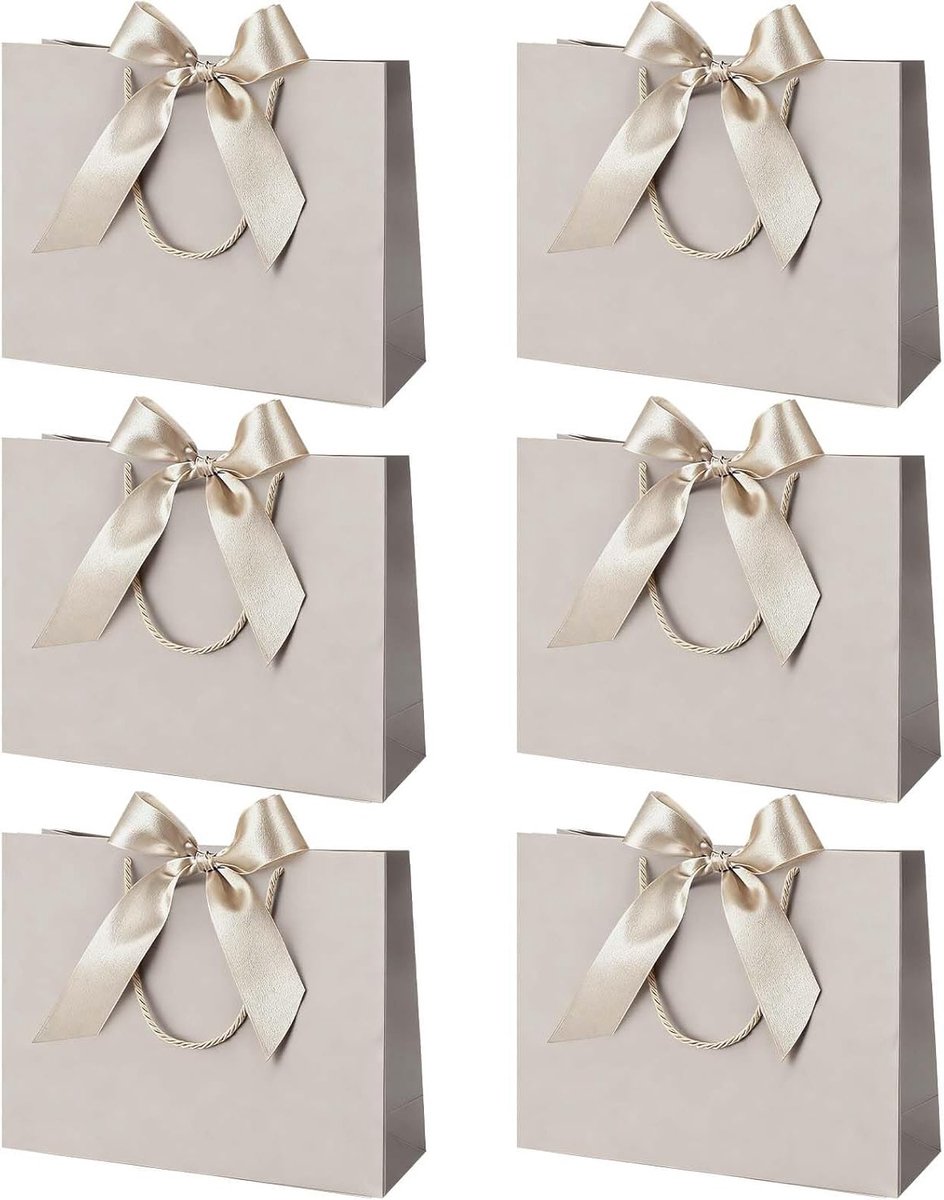 Elegante Papieren Cadeauzakken, 6 Stuks, Grote Cadeauzakken voor Kleding, Perfect voor Verjaardagen, Bruiloften en Feestdagen, 28x20x10 cm