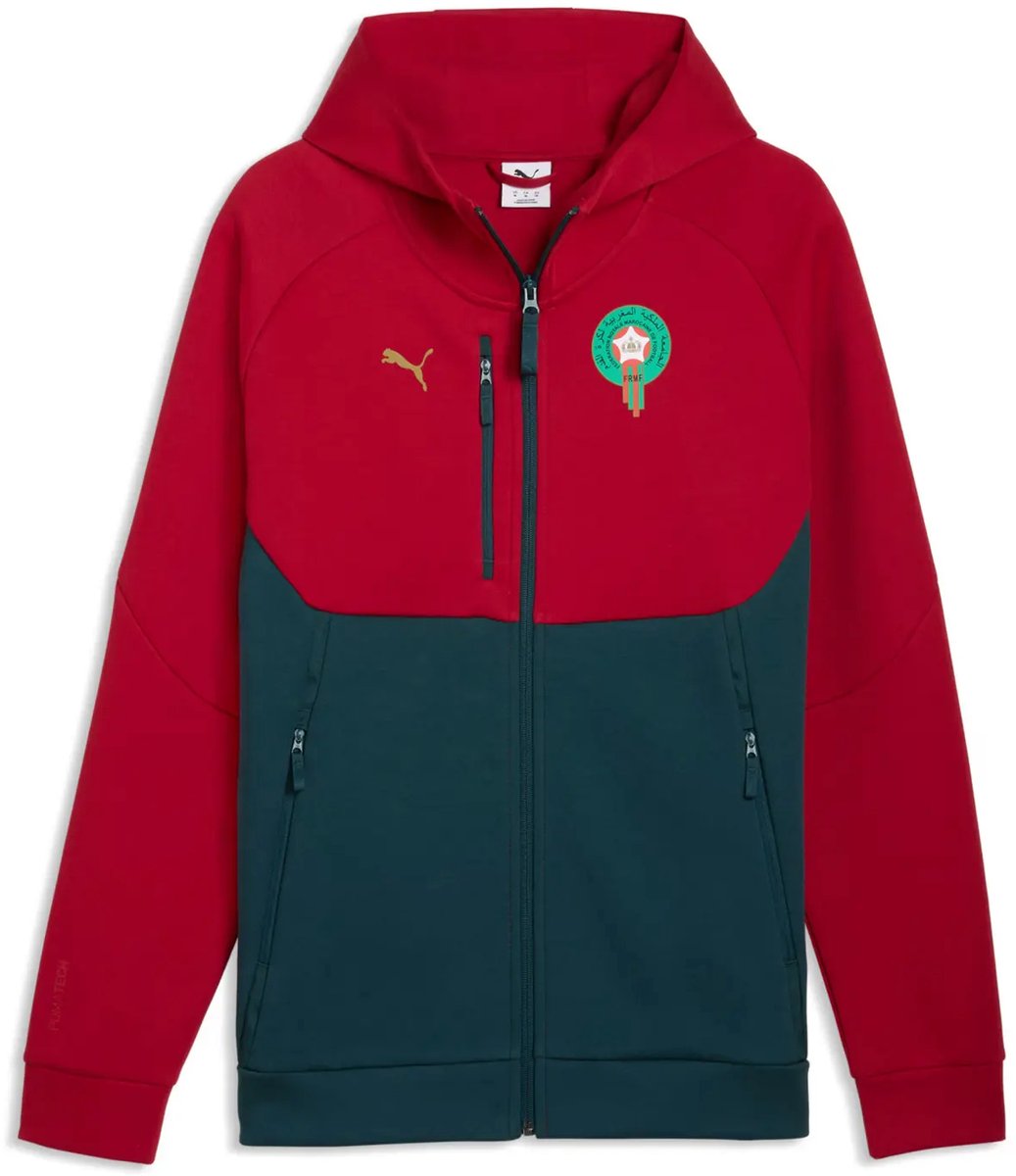 Gevoerde hoodie met rits Marokko Tech Goud