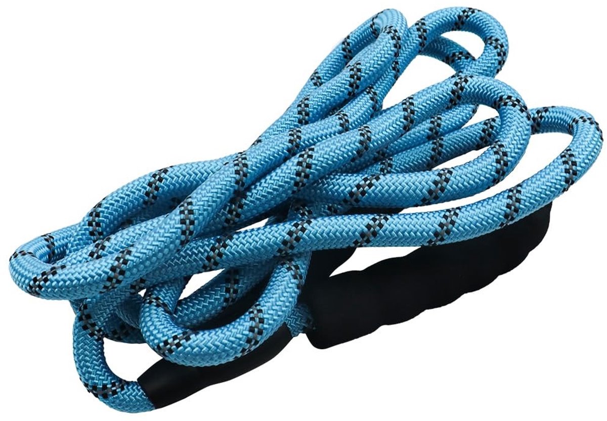 Dailygoods - Dailygoody - Premium Bungee hondenriem - Schokabsorberend - Blauw - Gewatteerde handgreep - Reflecterende draden - Geschikt voor middelgrote tot grote...