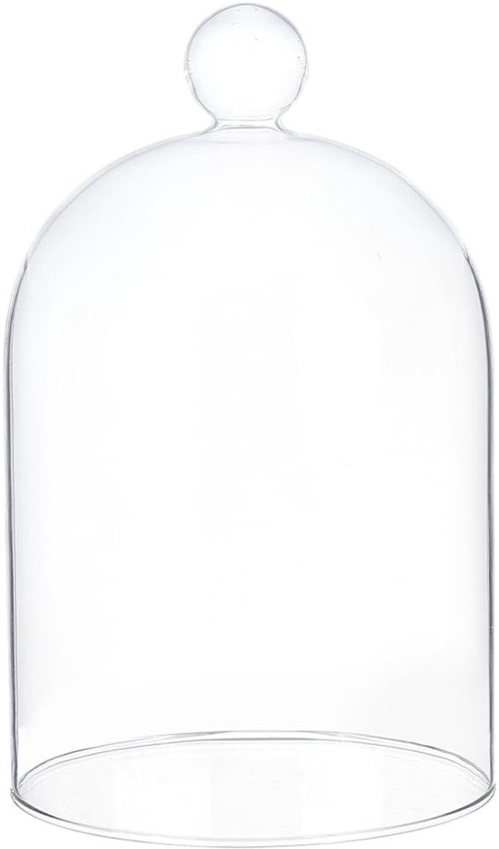 Dailygoods - 12x16cm Glas Display Cloche voor Planten en Decoraties