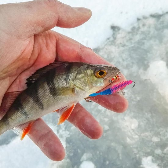 Visaas 35 Stuks - Rubber Vissen Aas Set voor Forel, Baars en Snoek - Jigkoppen en Visspullen voor Meren en Vijvers — afbeelding 4
