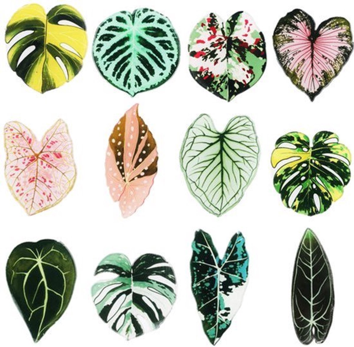 12 Stuks Bladvormige Koelkastmagneten - Planten Thema - Duurzaam Acrylmateriaal