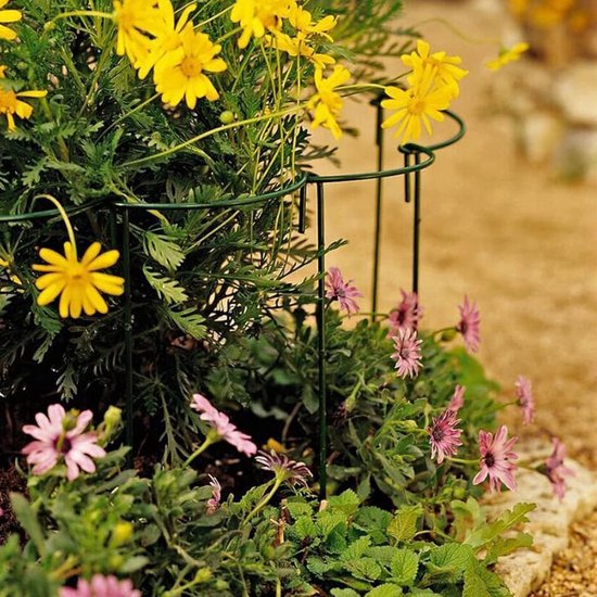 Set van 10 metalen halve plantsteunen voor tuinplanten, bloemen, tomaten en groenten (40 x 25 cm) van Merkloos — afbeelding 4