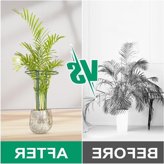 Plantsteunen voor Groenten en Bloemen - 6 Stuks, 25 x 40 cm Metalen Halve Cirkel Ondersteuning voor Tomaten, Rozen en Hydrangea — afbeelding 4