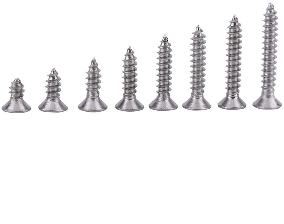 Dailygoods- Zelfborende Schroeven 200 Stuks - RVS 304 - Platte Kop - Draaibare Kop - Zelftappende Schroeven - Roestbestendig