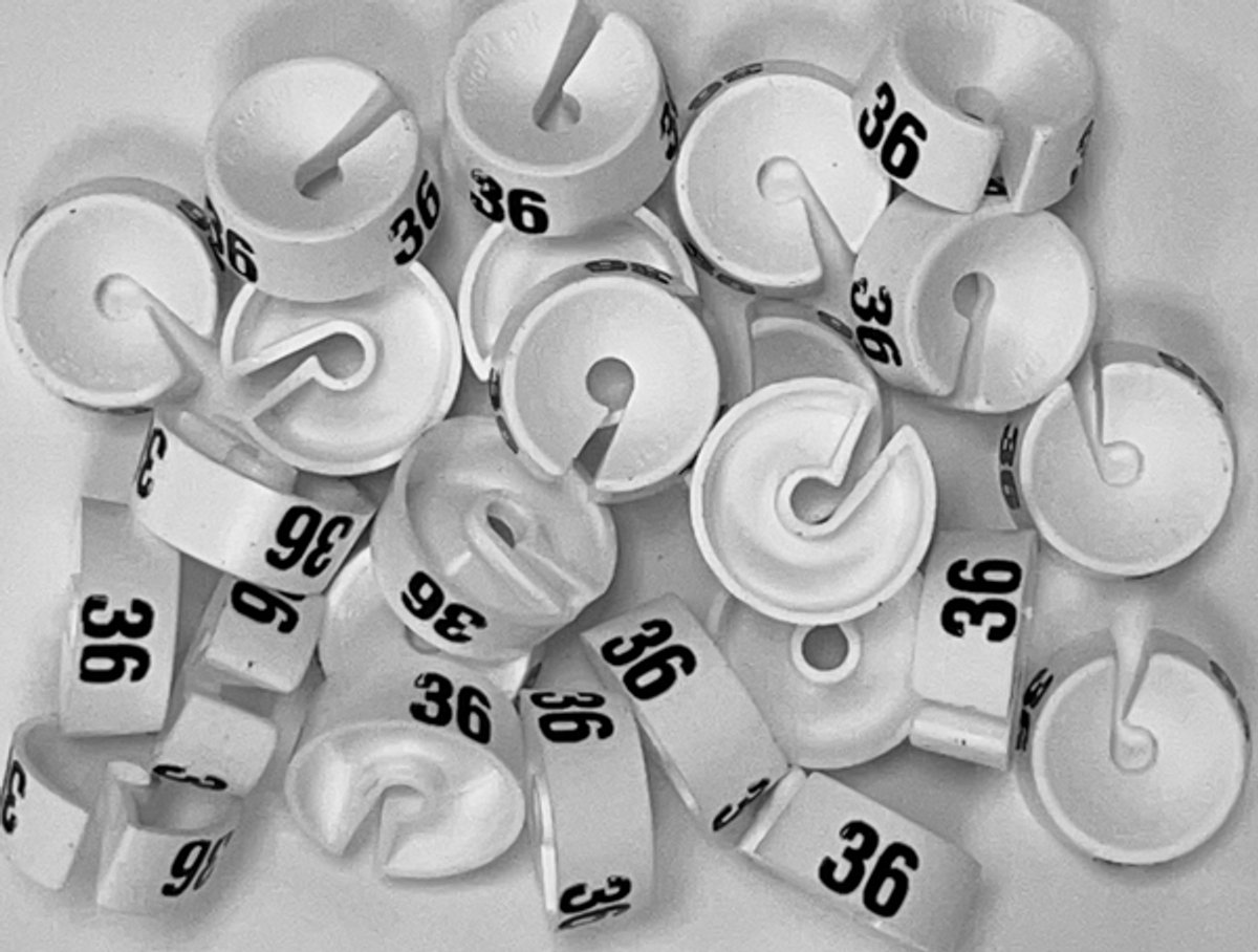 Bleijenberg Maatdopje maat 36 wit - Maataanduiding voor kledinghangers per 25 stuks - Maatringetje Ø 20 mm - Kledinghangers - Kleerhanger - Kapstok - Mark-Brics - wisersizer