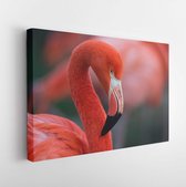 Onlinecanvas - Schilderij - Flamingo Geïsoleerd Art Horizontaal Horizontal - Multicolor - 50 X 40 Cm