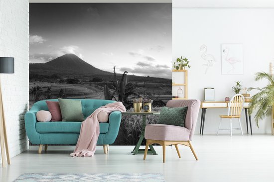 Papier peint - Papier peint Papier peint photo Rizières et volcans en Indonésie - noir et blanc - Largeur 220 cm x hauteur 220 cm