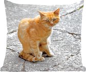 Sierkussen Katten voor binnen - Rode kat op straat - 45x45 cm - vierkant binnenkussen van katoen