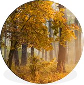 WallCircle - Wandcirkel - Muurcirkel - Herfstbomen in het mistige bos - Aluminium - Dibond - ⌀ 60 cm - Binnen en Buiten