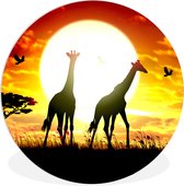 WallCircle - Wandcirkel ⌀ 60 - Een illustratie van Afrikaanse giraffen tegen de zon - Ronde schilderijen woonkamer - Wandbord rond - Muurdecoratie cirkel - Kamer decoratie binnen - Wanddecoratie muurcirkel - Woonaccessoires