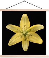 Posterhanger incl. Poster 90x90 cm - Schoolplaat - Een gele leliebloem over zwarte achtergrond - Textielposter - Blanke latten