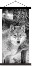 Posterhanger incl. Poster 60x120 cm - Schoolplaat - Groep wolven in zwart-wit - Textielposter - Zwarte latten