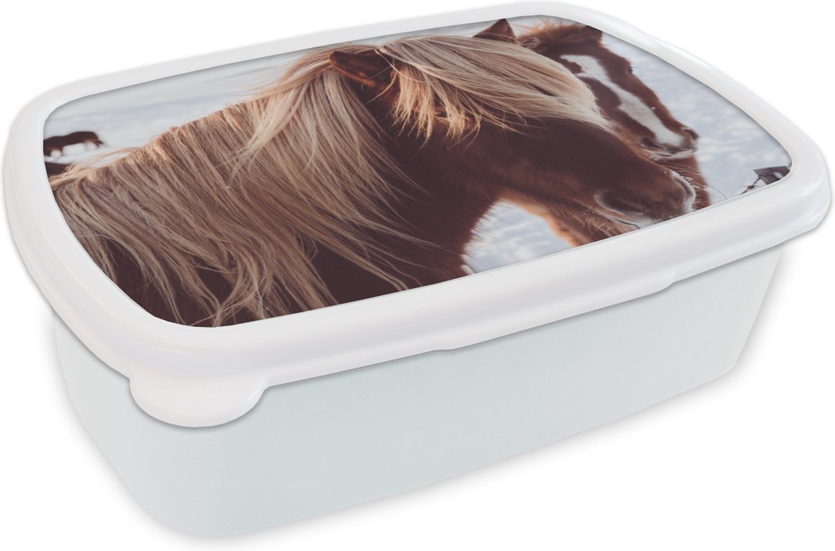 Broodtrommel Wit - Lunchbox - Brooddoos - Paarden - Sneeuw - Bruin - 18x12x6 cm - Volwassenen