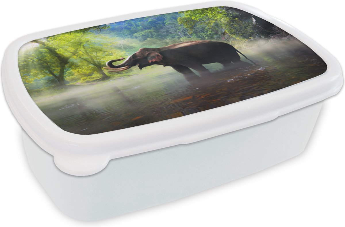 Broodtrommel Wit - Lunchbox - Brooddoos - Olifant - Water - Natuur - 18x12x6 cm - Volwassenen
