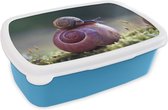 Broodtrommel Blauw - Lunchbox - Brooddoos - Slakken - Gras - Lente - 18x12x6 cm - Kinderen - Jongen